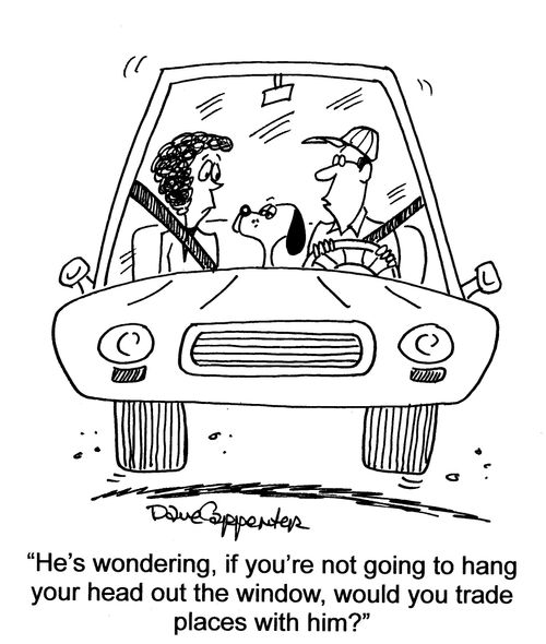 'He's wondering, if you're not going to hang your head out the window...'