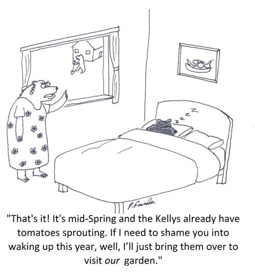 'That's it! It's mid-Spring and the Kellys already have tomatoes sprouting. If I need to shame you into waking up this year, well, I'll just bring them over to visit our garden.'