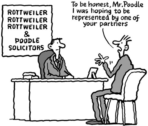 "To be honest, Mr. Poodle I was hoping to be represented by one of your partners."