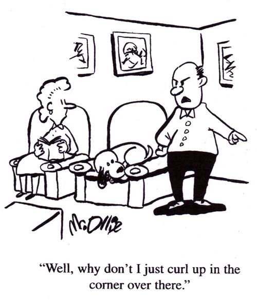 "Well, why don't I just curl up in the corner over there."