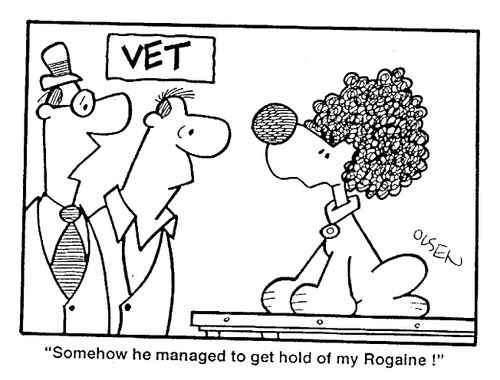 "Somehow he managed to get hold of my Rogaine!"