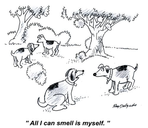 'All I can smell is myself.'