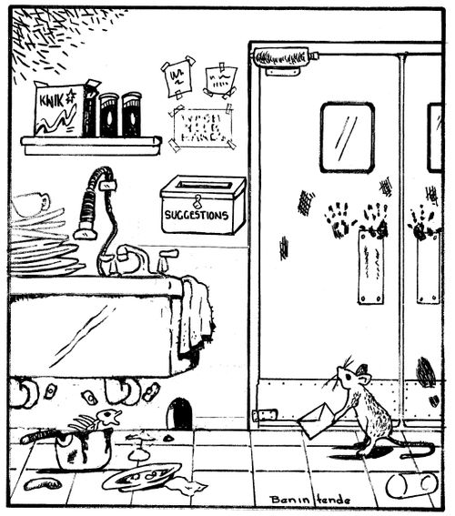 Rat with a suggestion for a messy kitchen.