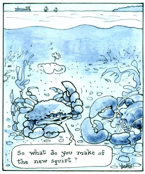 'What do you make of the new squirt?'