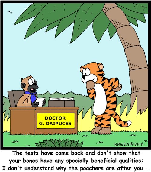 "The tests have come back and don't show that your bones have any specially beneficial qualities: I don't understand why the poachers are after you..."