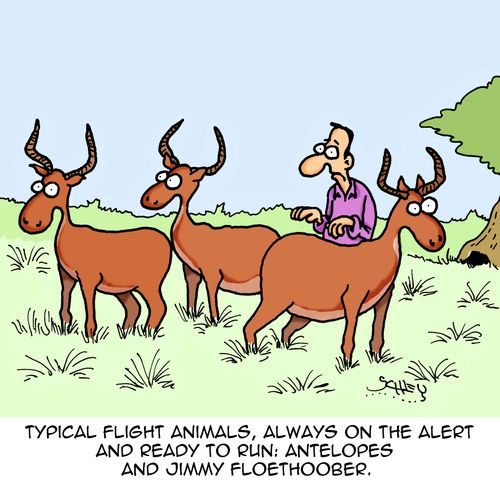 typical flight animals, always on the alert and ready to run: Antelopes and Jimmy Floethoober.
