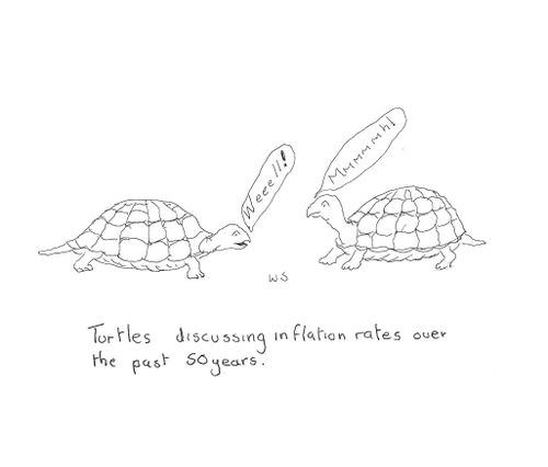 Turtles discussing inflation rates over the past 50 years.