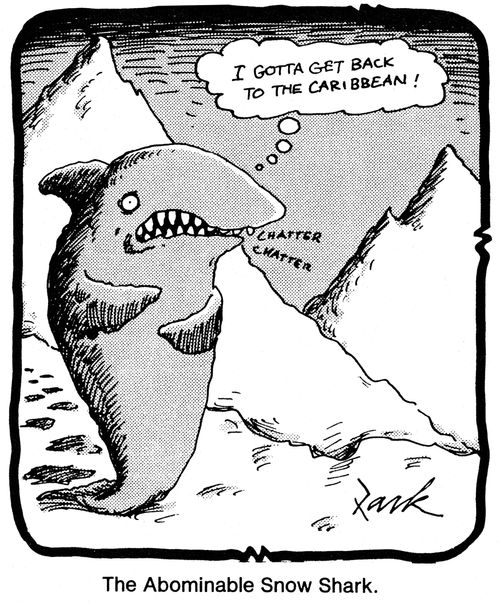 'I gotta get back to the Caribbean!'