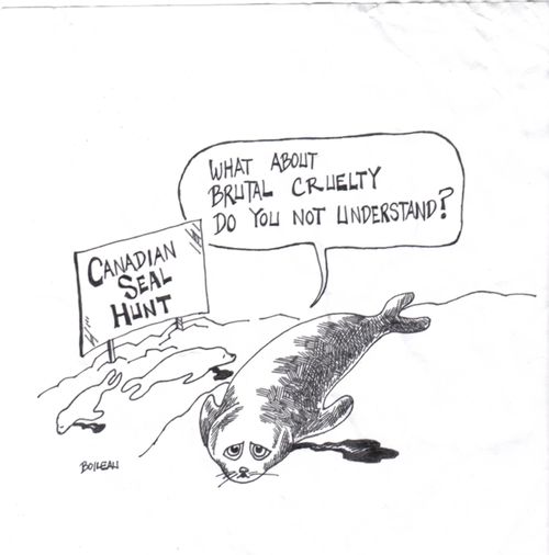 Canadian seal hunt. "What about brutal cruelty do you not understand?"