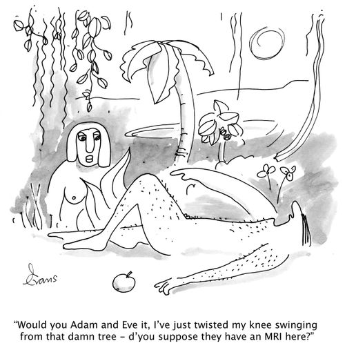 'Would you Adam and Eve it, I've just twisted my knee swinging from that damn tree - d'you suppose they have an MRI here?'