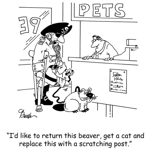 'I'd like to return this beaver, get a cat and replace this with a scratching post.'