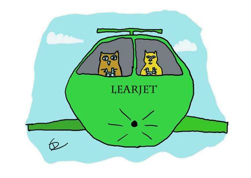 Owl and the Pussycat in pea green Learjet