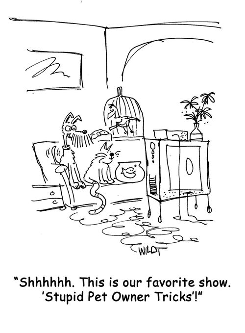 'Shhhhh. This is our favorite show, 'Stupid Pet Owner Tricks'!'