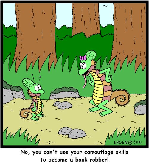 'No, you can't use your camouflage skills to become a bank robber!'