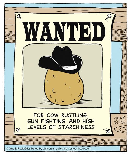 Wanted - for cow rustling, gun fighting and high levels of starchiness.