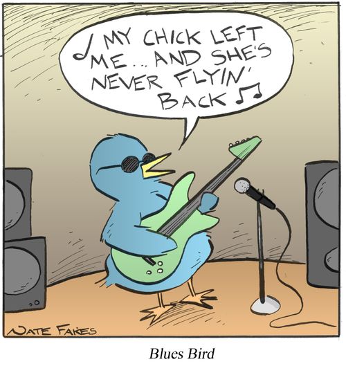 Blues Bird