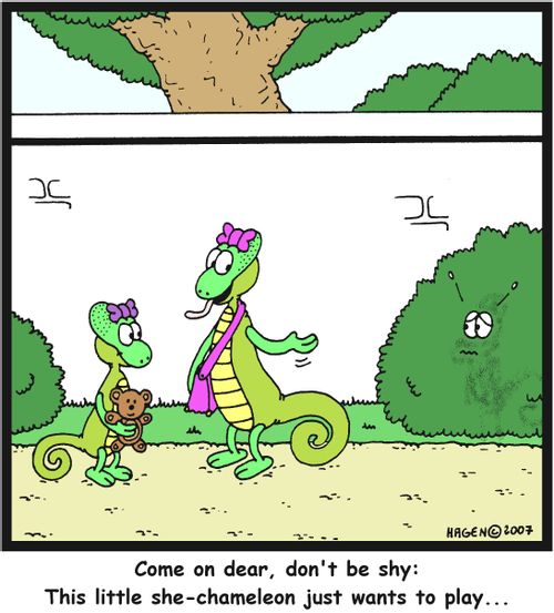 'Come on dear, don't be shy: This little she-chameleon just wants to play...'