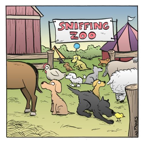 Sniffing Zoo