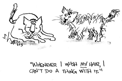 "Whenever I wash my hair, I can't do a thing with it."
