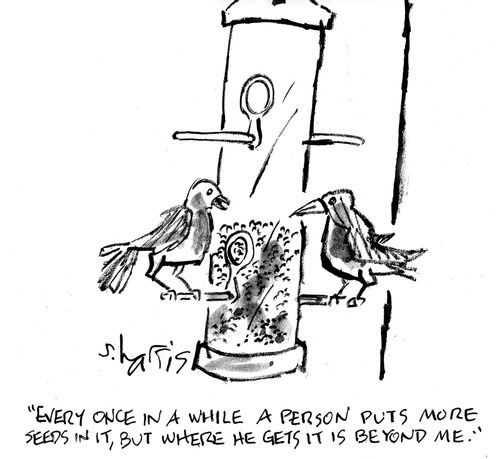 'Every once in a while a person puts more seeds in it, but where he gets it is beyond me.'