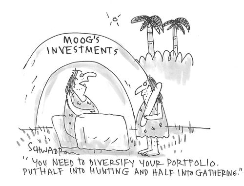 "You need to diversify your portfolio. Put half into hunting and half into gathering."
