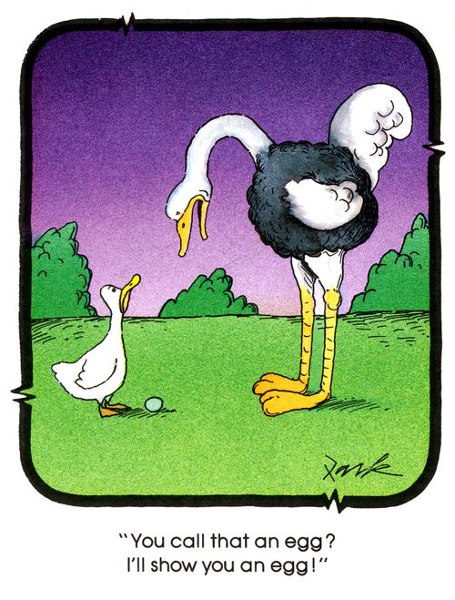 'You call that an egg? I'll show you an egg!'