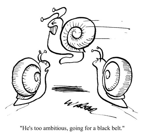 "He's too ambitious, going for a black belt."