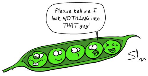 "Please tell me I look NOTHING like THAT guy!"