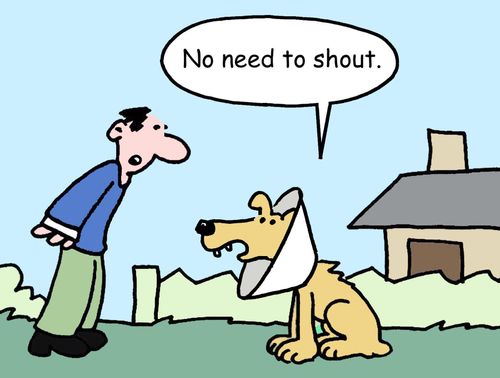 'No need to shout.'