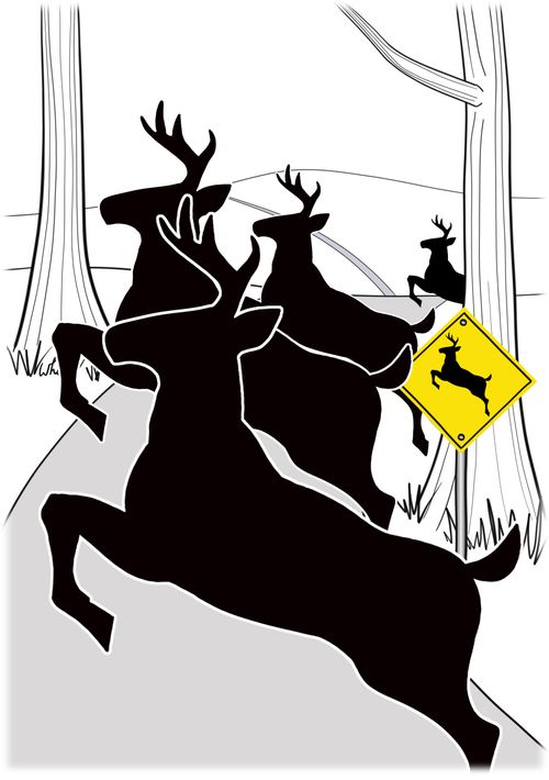 Deer Crossing