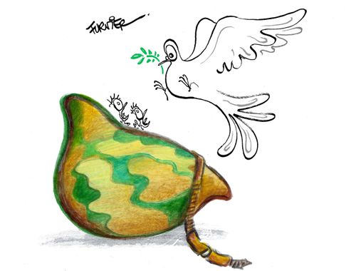 Dove of peace nesting in an army helmet.