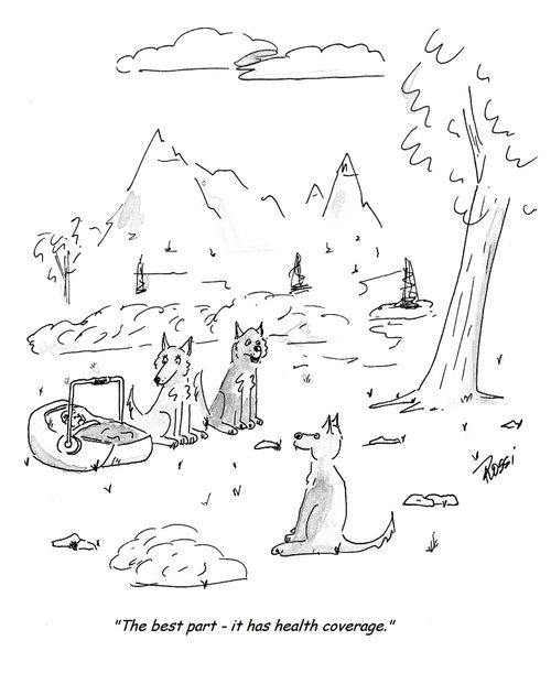 'The best part - it has health coverage.'