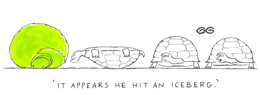 'It appears he hit an iceberg.' (A LETTUCE)