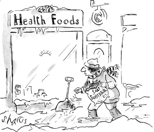 Health food - salt substitute