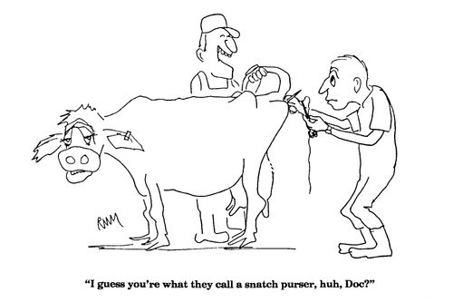 'I guess you're what they call a snatch purser, huh, Doc?'