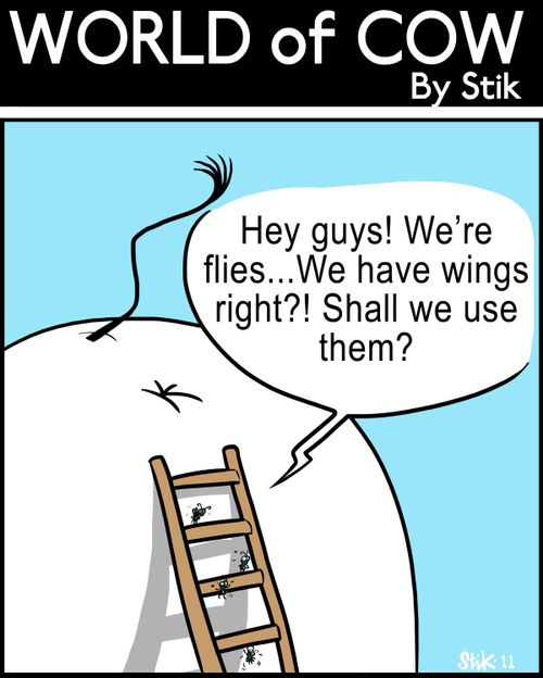 'Hey guys! We're flies...We have wings right?! Shall we use them?'