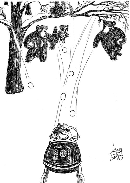 Bears throwing snowballs at a man on a snowmobile.