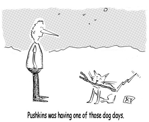 Pushkins was having one of those dog days.