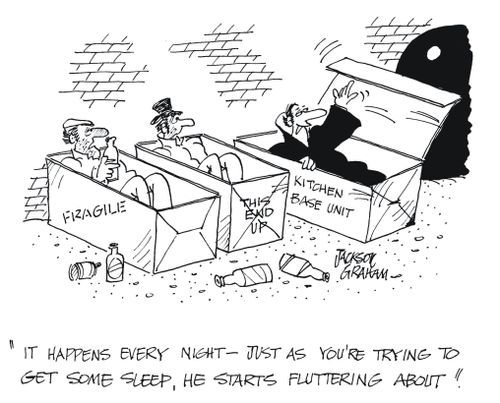 'It happens every night - just as you're trying to get some sleep,he starts fluttering about'.