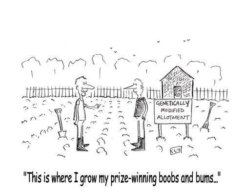 'This is where I grow my prize-winning boobs and bums...'