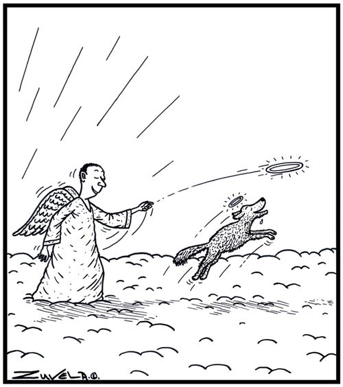 A Male Angel throwing his Halo as a Frisbee for his Dog to catch.