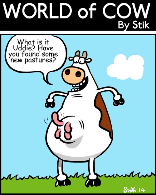 'What is it Uddie? Have you found some new pastures?'