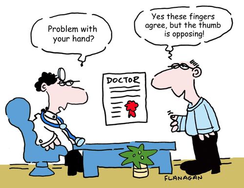 "Yes these fingers agree, but the thumb is opposing!"