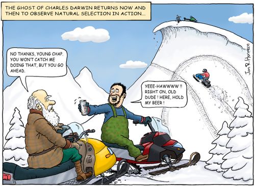 Natural Selection on the Snow.