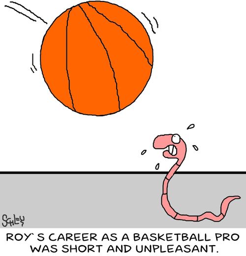 Roy's career as a basketball pro was short and unpleasant.