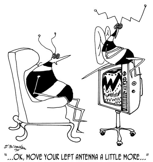 '... Ok, move your left antenna a little more... '