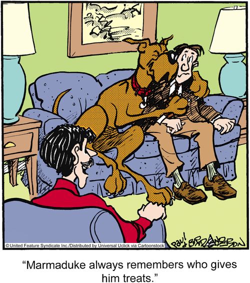 'Marmaduke always remembers who gives him treats.'