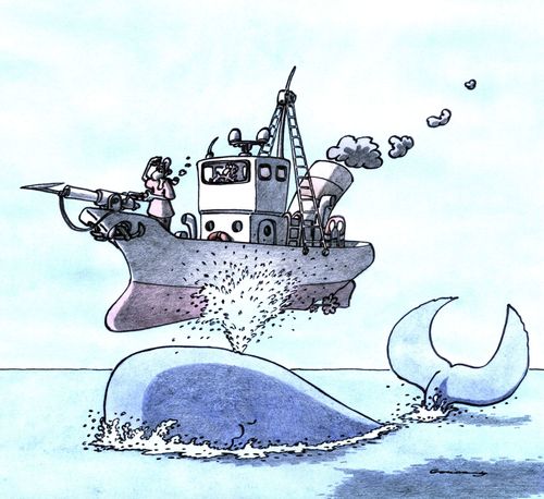 Whale hunt.