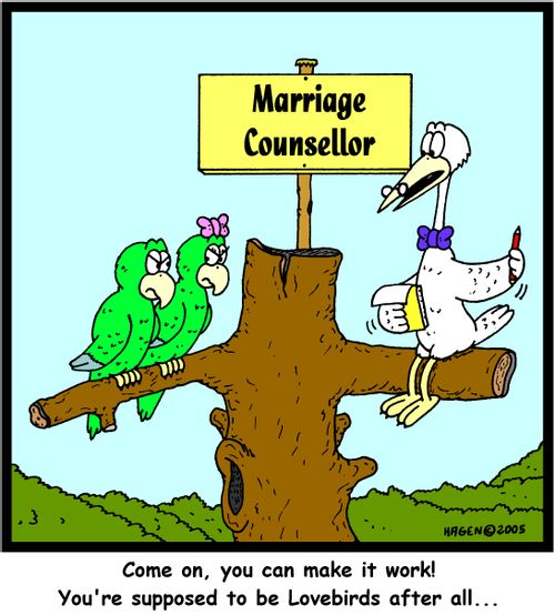 'Come on, you can make it work! You're supposed to be Lovebirds after all...'
