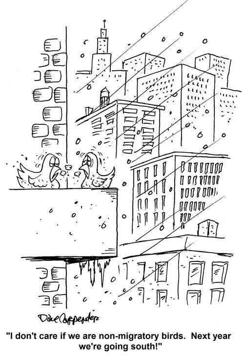 'I don't care if we are non-migratory birds.  Next year we're going south!'